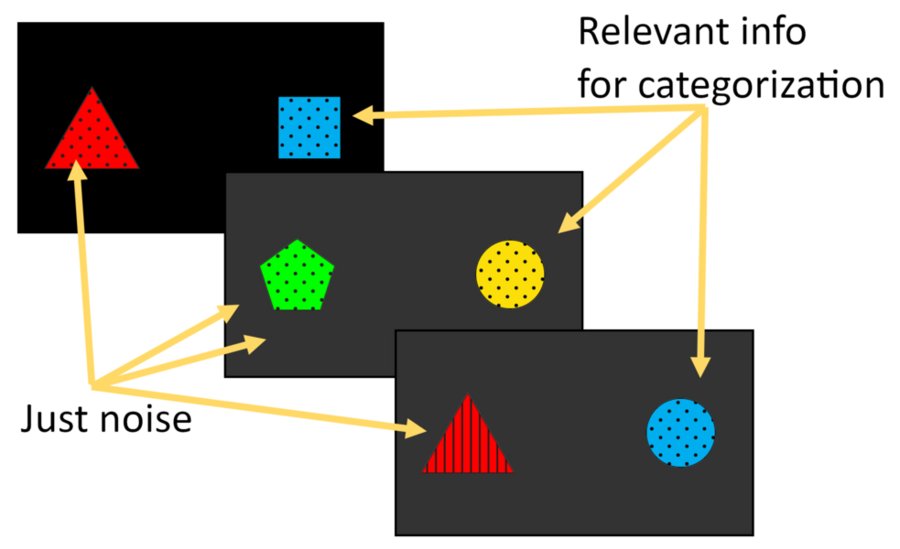 Examples of three images, each with two shapes. The shapes on the left are “just noise” while the ones on the right are “relevant info for categorization.”