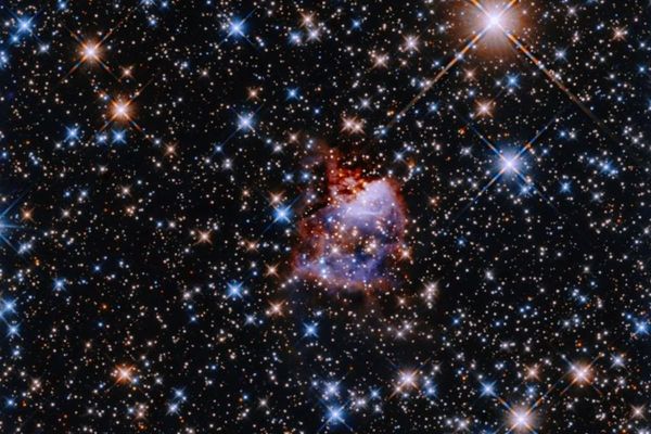 Hubble peers through thick dust to capture hidden young stars