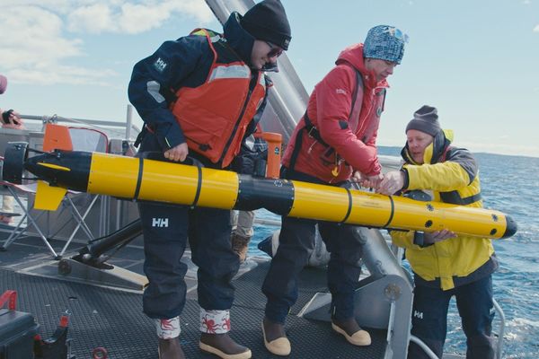 Human-Machine Teaming Transforms Underwater Operations with Advanced Diver-AUV Collaboration