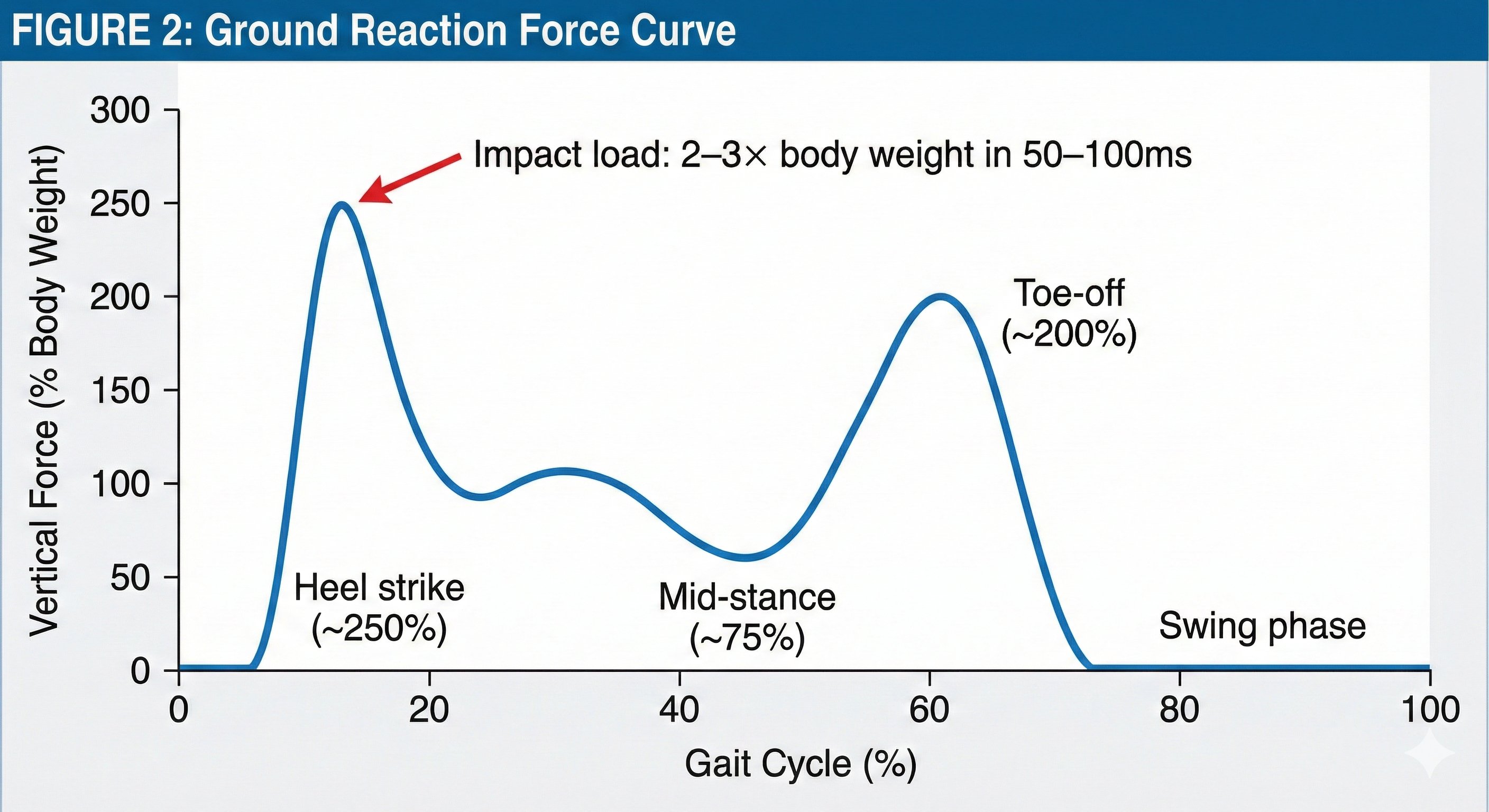 Ground Reaction Force Curve showing impact loads during walking gait