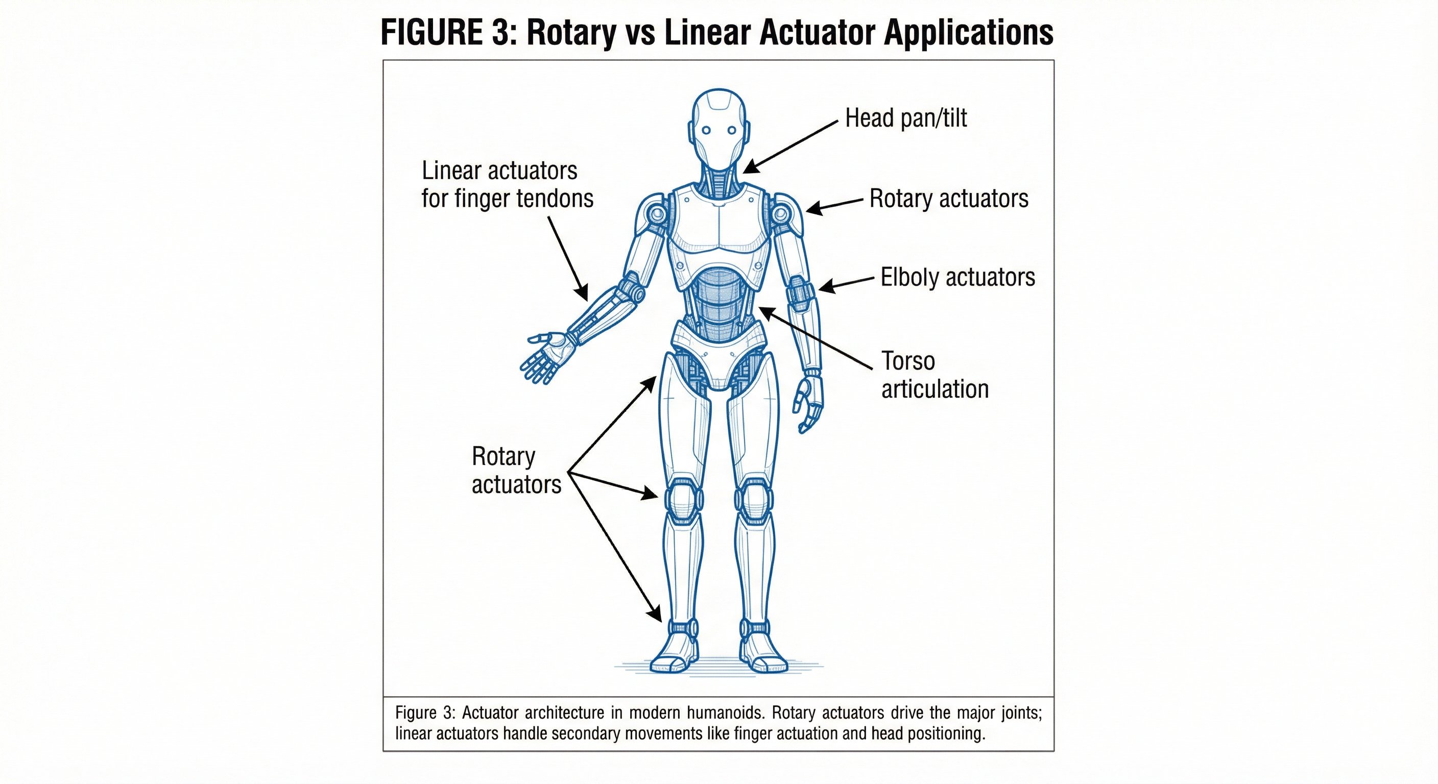 Diagram illustrating Rotary vs Linear Actuator applications on a humanoid robot