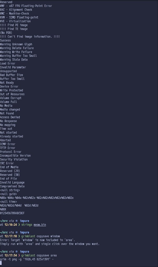 Strings from the BIOS dump