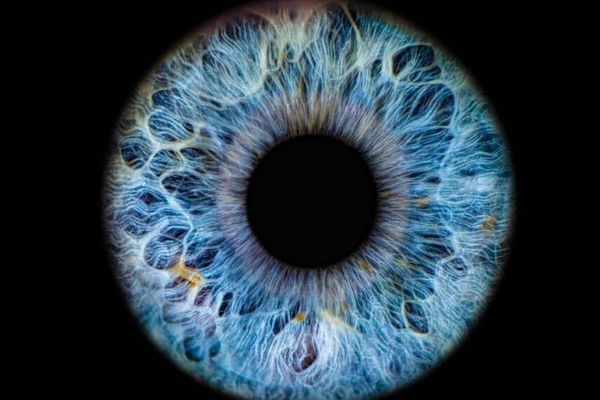 ICE awards Bi2 $25 M contract for 1,570 biometric scanners