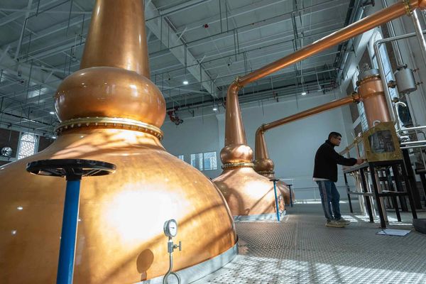 China's Domestic Whisky Distillers Challenge Global Giants Amid $2.1 Billion Market Boom