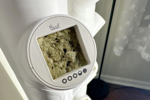 Inside Gardyn Studio 2: How AI-Powered Computer Vision is Reshaping Indoor Farming