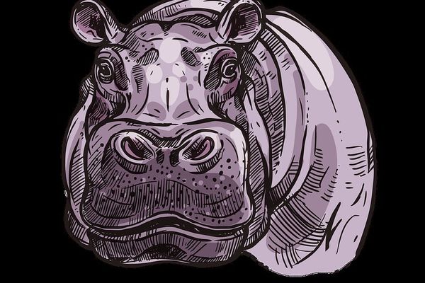 Inside the AUR Malware Siege: How Arch Linux Volunteers Neutralized a Chaos RAT Attack