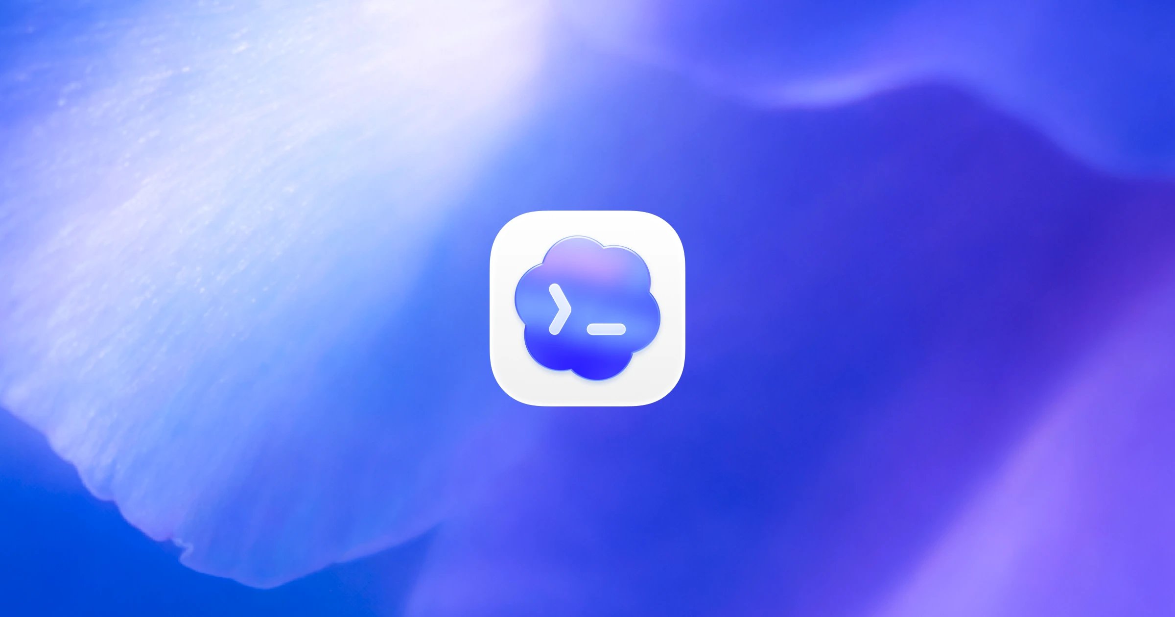 Codex Landing Page SEO