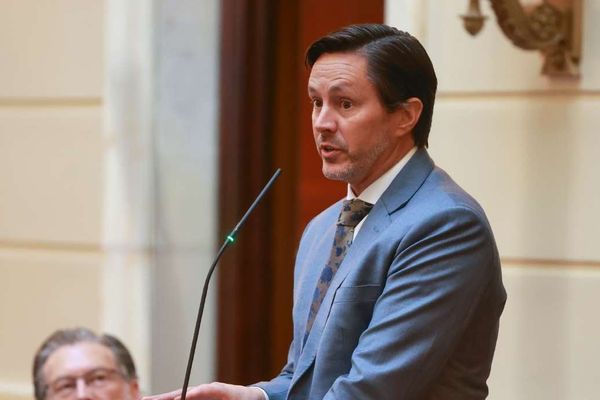 Utah's Official State Symbol Debate: When Lawmakers Weigh In on iPhone vs. Android