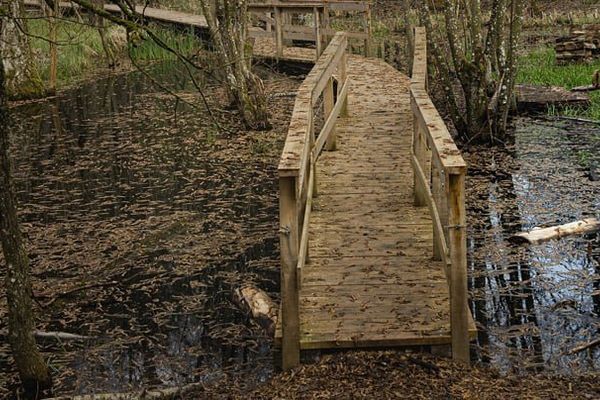 IPv4 Exhaustion Creates a Fragmented 'Swamp' Driving Routing Chaos and Security Volatility