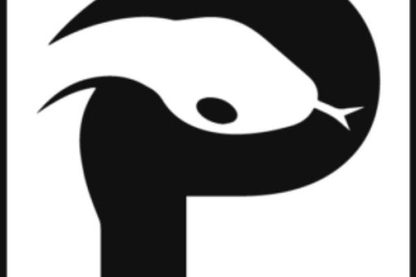 Is Python becoming Pinyin? – Reflections from PyCon US