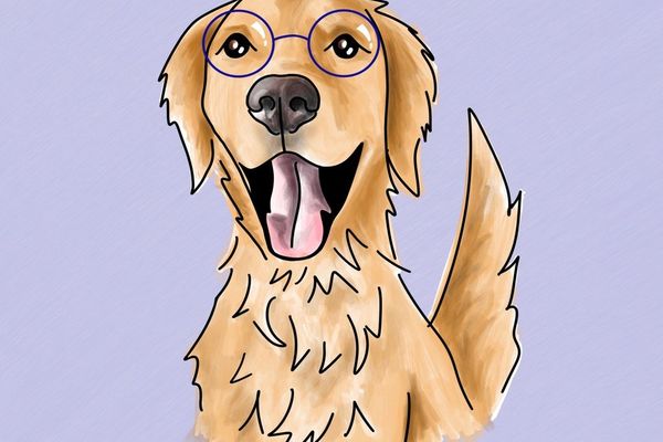 The Rise of Local AI: Why Open Source Models on Your Workstation Could Win