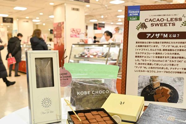 Japan's Chocolate Market Pivots to Cocoa Alternatives Amid Sustained Price Surge