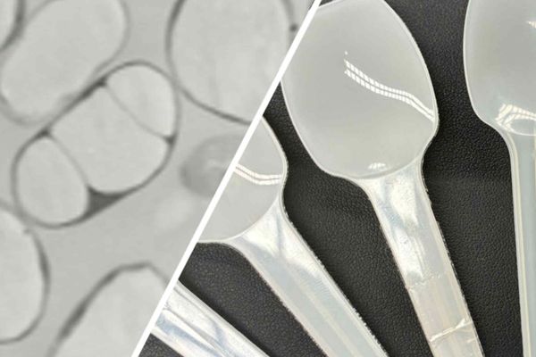 JGC Opens World's First Lab to Turn CO2-Eating Bacteria Into Mass-Market Bioplastics