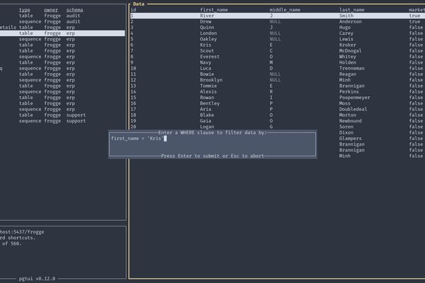 pgtui: A Terminal TUI Client That Bridges the Gap Between Text Editors and Postgres Databases