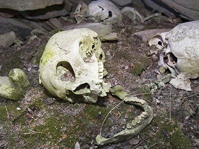 Landmark ancient-genome study shows surprise acceleration of human evolution