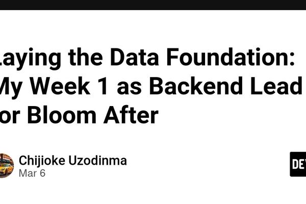Building the Data Backbone: My First Week as Backend Lead for Bloom After