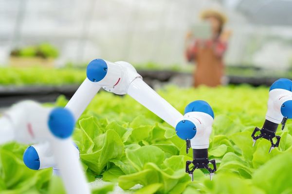 Strategic Review of Richtech Robotics’ Transactable Solutions on Microsoft Marketplace