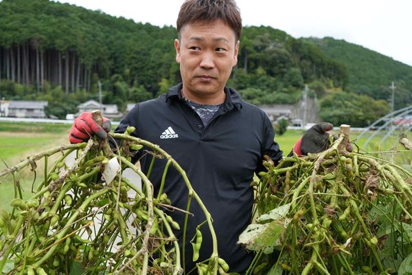 Let it grow: Panasonic's plant formula boosts CO2 absorption