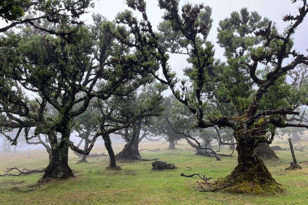 The Case for Seeds as the Universal Storage Format for ML-KEM Keys