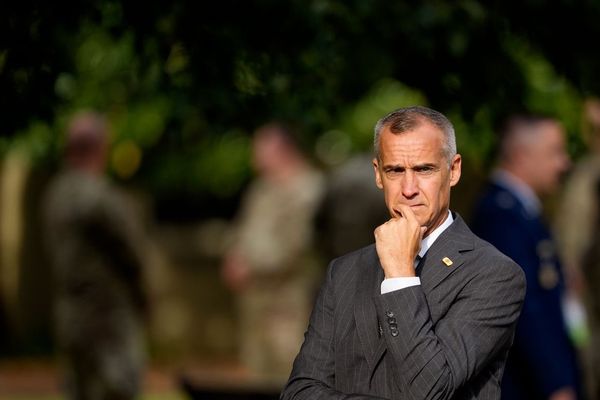 Lewandowski back for another year as DHS's part-time power broker