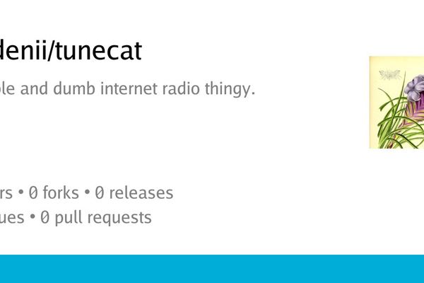 tunecat: A Minimalist Internet Radio Solution in Pure Go