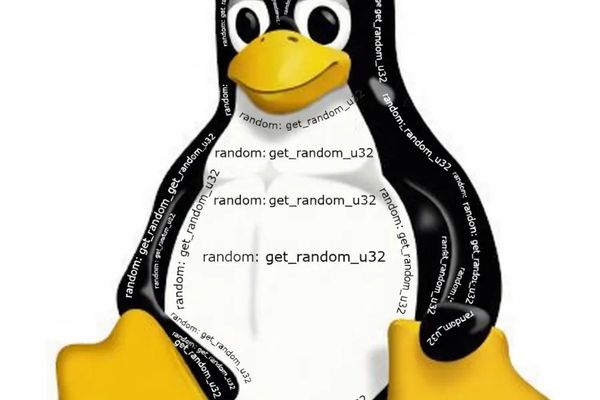 Linus Torvalds Removes Annoying Kernel Log Spam Option