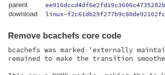 Linus Torvalds Officially Removes Bcachefs From Linux Kernel, Forcing Out-of-Tree Module Adoption