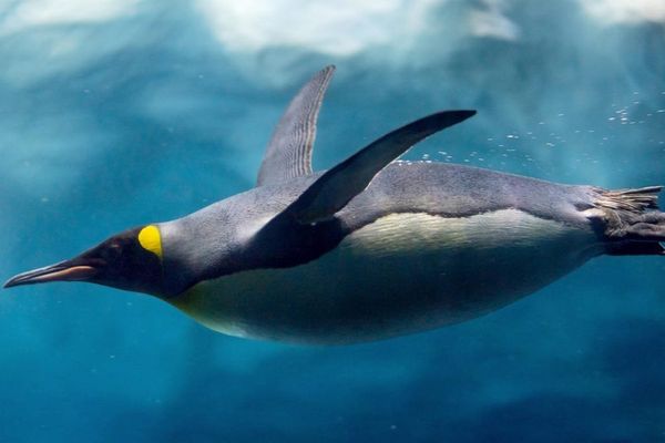 Linux 6.16 Lands with Rust Maturation, File System Speedups, and Confidential Computing Boost