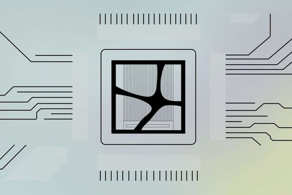 San Francisco Startup Integrates Living Neurons into AI Processing, Claims 5x Speed Boost