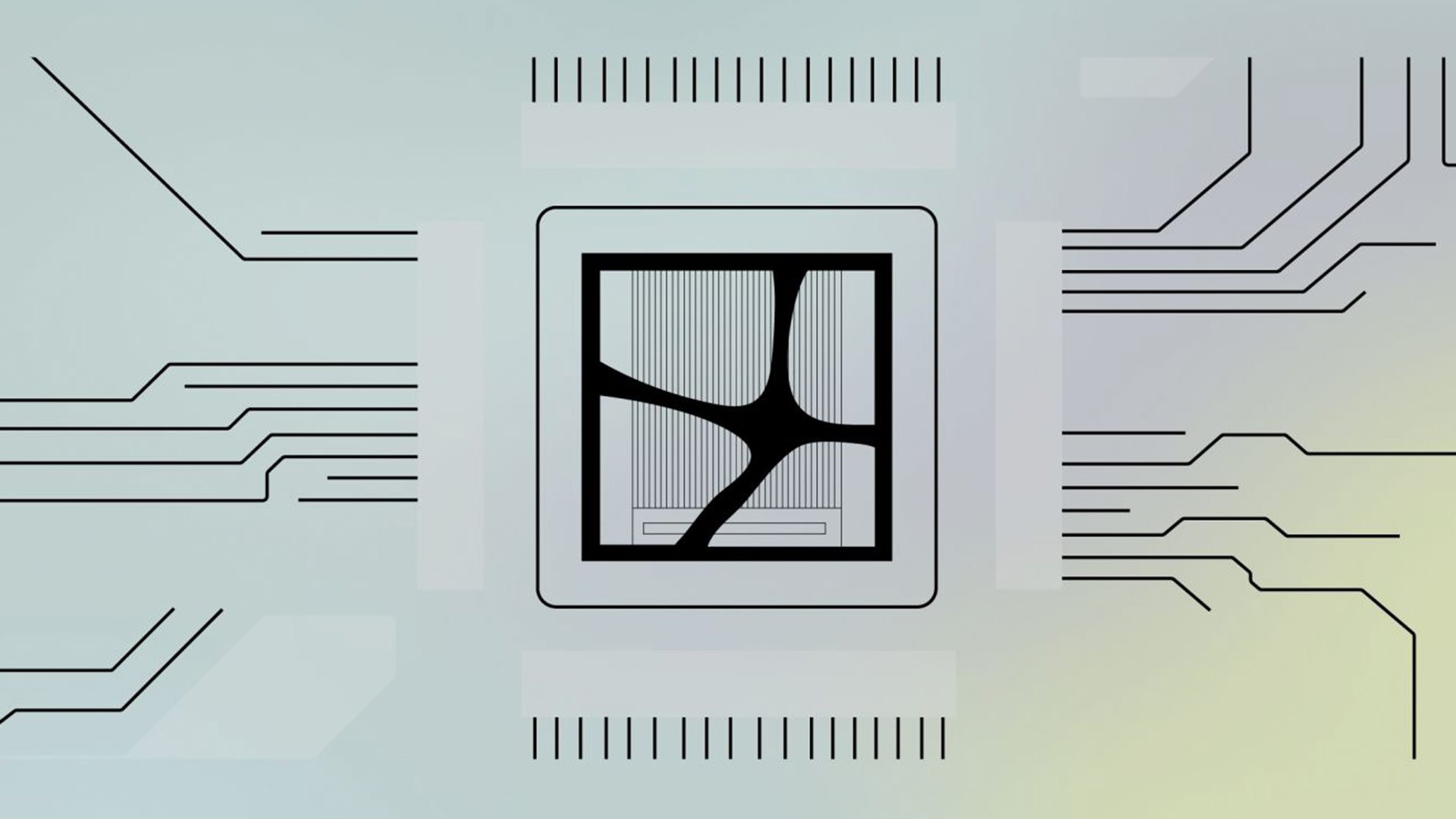 The Biological Computing Company 