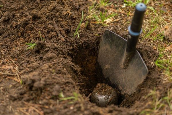 macOS 27 threatens to bury Time Capsule – FOSS digs it out with Samba