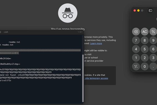 The Hidden Danger in Terminal Emulators: How 'cat readme.txt' Became a Code Execution Vector