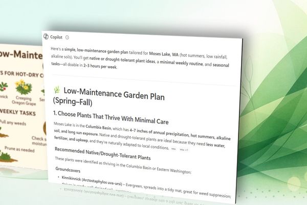 Microsoft Copilot: Your AI Garden Design Assistant for Spring 2025