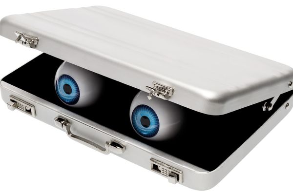 Portable AI in a Suitcase: Nvidia Jetson-Powered Chatbot Demonstrates Edge Computing Capabilities
