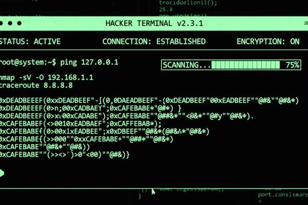 Malicious Go Crypto Module Steals Passwords, Deploys Rekoobe Backdoor