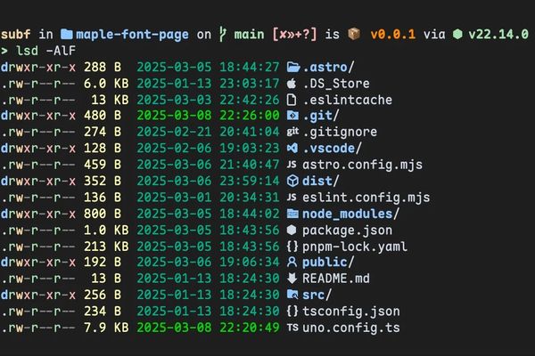 Maple Mono: The Open Source Font That's Changing How Developers See Code