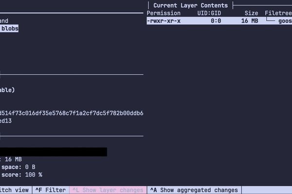 Mastering Minimalist Docker Images: Go, Nix, and Optimization Tricks for Faster Builds