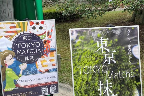 Matcha Made in Tokyo: How Overseas Demand Is Prompting a Shift in Japan’s Tea Production