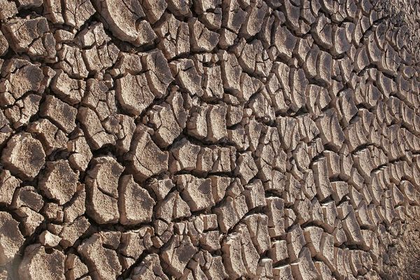 AI Production Boom Sparks Tech Price Surge as Consumer Components Become Scarce