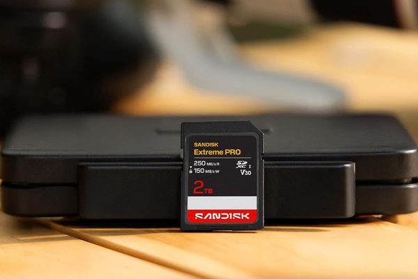 Memory Card and Flash Drive Prices Surge 124% Amid AI Chip Shortage