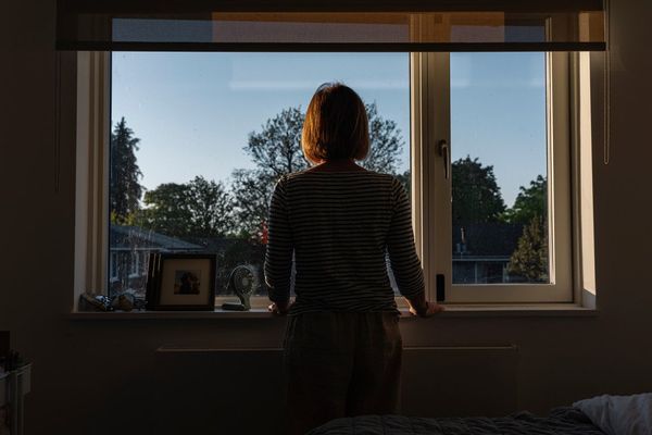 Estrogen loss in the brain’s extracellular matrix may underlie women’s higher Alzheimer risk