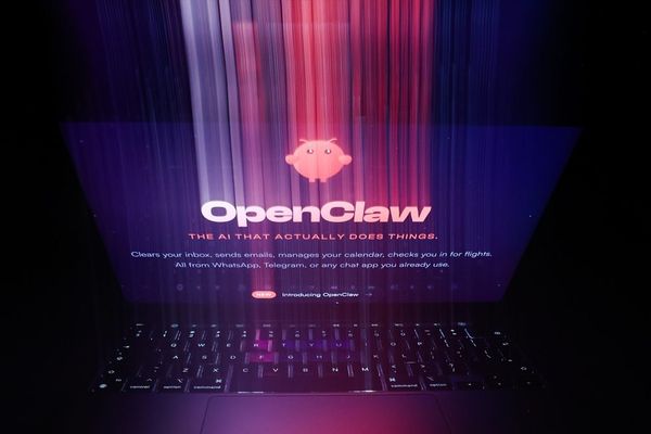 Meta security researcher's AI agent accidentally deleted her emails