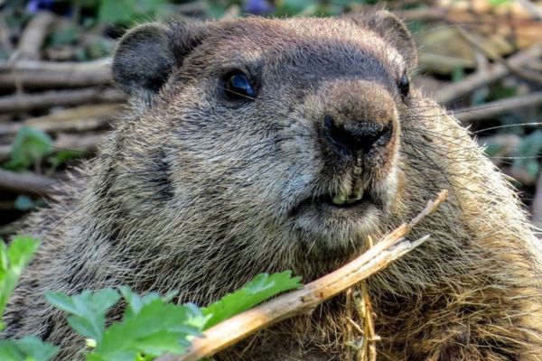 Microsoft's Hibernation Bug Returns: January Fix Falls Short for Secure Launch PCs