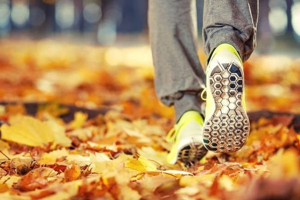 Microsoft Ditches Seasonal Windows Naming Over Southern Hemisphere Inclusivity Concerns