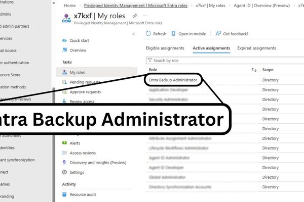 Microsoft Entra to Receive Native Backup Capabilities