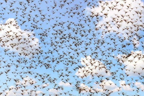 Microsoft's April Patch Tuesday Delivers 165 CVEs Including Actively Exploited SharePoint Flaw