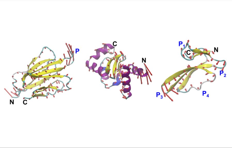 Three ribbon diagrams of proteins in a 3D format, each in different colors