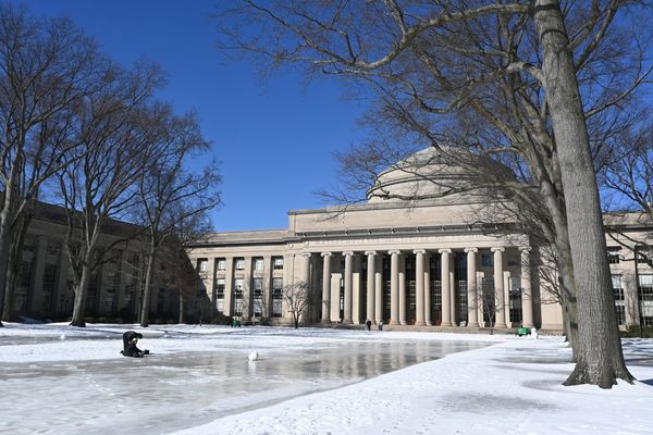 MIT Recognized Among Top 30 Universities for Mental Health Support in Princeton Review Honor Roll