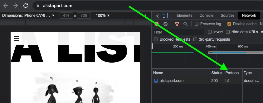 Chrome dev tools, Network tab filtered by document, Protocol column