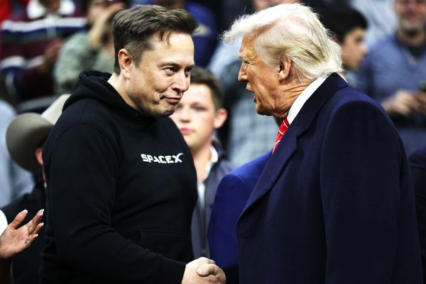 Musk offers to pay TSA salaries, as Trump floats ICE at airports